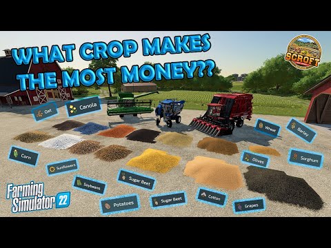 What Crop Makes The Most Money? Farming Simulator 22