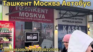 ТАШКЕНТ МОСКВА АВТОБУС ПРЯМОЙ РЕЙС 2025 #автобус #ташкент #москва #узбекистан #таджикистан #россия