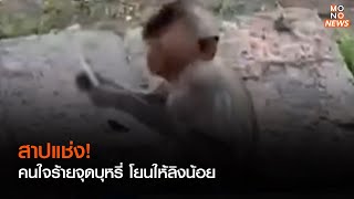 สาปแช่ง! คนใจร้ายจุดบุหรี่ โยนให้ลิงน้อย | ข่าวค่ำ NIGHTLY NEWS | 1 ธ.ค. 65