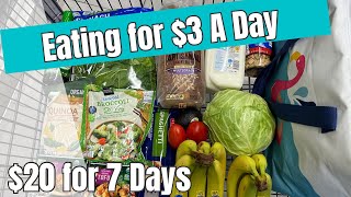 $20 for 7 Days | Eating for $3 a Day | Easy Budget Meal Plan