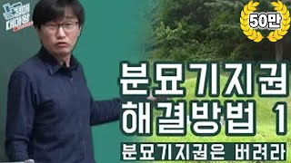 [부동산경매강의] 분묘기지법 해결방법!!?? 분묘기지권은 버려라!!