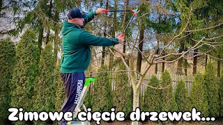 Jak przyciąć drzewka zimą…