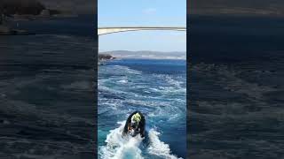 Norway, Saltstraumen Maelstrom #shortsvideo