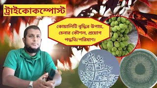 ট্রাইকোকম্পোস্ট সারের কোয়ালিটি বৃদ্ধির উপায়, চেনার কৌশল, ফসল ভেদে প্রয়োগ পদ্ধতি/পরিমাণ।