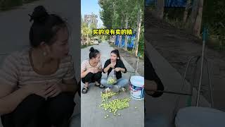 买的没有卖的精 #funny #comedy #搞笑