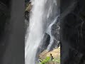 peessa waterfall😱🥰❤ badulla 💦 peessa ella sri lanka 💧☘🍀🍃 travel travelsl short shorts