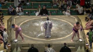 千代皇-琴恵光/2017.5.21(39)/chiyoo-kotoeko/day8 #sumo