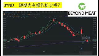 美股｜BYND｜Beyond Meat, “人造肉” 股票，短期？长期？重仓？