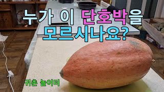 토종 단호박(3종) 씨앗 나눔