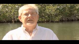 Waterways Episode 269- Big Cypress  National Preserve and Keys Canal Clean-up