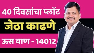 जेठा काढणे | गन्ना मास्टर तंत्रज्ञान | डॉ. अंकुश चोरमुले |