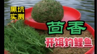 黑坑实测茴香开饵钓鲤鱼散炮肉夹馍孔雀羽浮漂