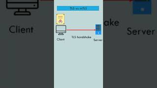 TLS Vs mTLS - How certificates are exchanged ?