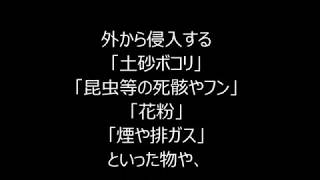 雑学「ほこりはどこからくるの？」