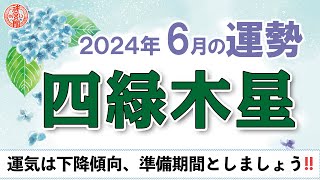 【2024年6月　四緑木星の運勢】今月は忍耐の月です、コツコツ積み重ねる気持ちを大事に！｜2024年6月5日〜7月5日の運勢と吉方位｜高島暦・九星気学・占い・松本象湧・亀吉2号・神宮館 TV・開運