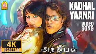 Kadhal Yaanai - 4K Video Song | காதல் யானை | Anniyan | Vikram | Shankar | Harris Jayaraj | Ayngaran