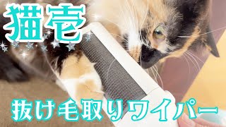 猫壱の抜け毛取りワイパーが思った以上に良かった！！