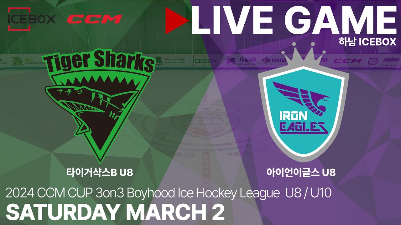 LIVE • 타이거샥스B U8 Vs 아이언이글스 U8 • 2024 CCM CUP 3on3 유소년 아이스하키대회 (U8 / U10 ...