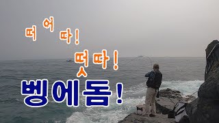 부산 앞바다 생도 벵에돔낚시