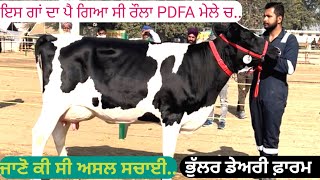 ਇਸ ਗਾਂ ਦਾ ਪਿਆ ਸੀ ਰੌਲ਼ਾ PDFA ਮੇਲੇ ਵਿੱਚ | ਜਾਣੋ ਕੀ ਸੀ ਅਸਲ ਸਚਾਈ | Bhullar Dairy Farm | Pets Animals Vlog