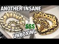 ANOTHER EPIC SNAKE UNBOXING! 