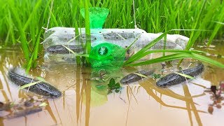 Творческий мальчик делает ловушку рыбы с помощью пластиковой бутылки