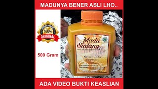 harga madu asli, harga madu murni - Video keaslian Madu Sialang - WA 082111385566