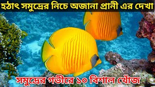 হঠাৎ সমুদ্রের নিচে অজানা প্রানী এর দেখা |Sea Facts |Amazing Facts| সমুদ্রের গভীর ১০ বিশাল খোঁজ|Facts