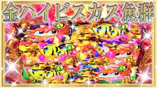 遂にキタ！黄金に輝くハイビスカス魚群！スーパー海物語in沖縄4～ハイビスカスモード～