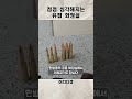 점점 심각해지는 유럽 화장실