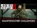 Red Dead Redemption 2 Sharpshooter Challenges Guide