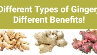 Different Types of Ginger, Different Benefits!