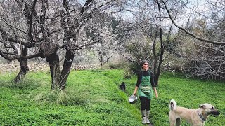 Slow and Simple Joys | Peaceful Winter Mornings and Almond Blossoms