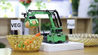 JetMax AI Robot Arm Fruit \u0026 VEG Sorting