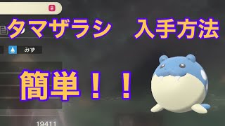 【Pokémon LEGENDS アルセウス】タマザラシ入手方法　攻略動画