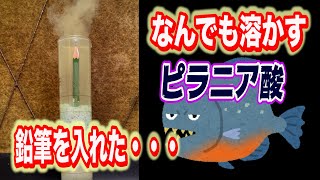 なんでも溶かす【ピラニア酸】に鉛筆を入れてみた結果・・・見た事ない・・・Possibility science challenge #Shorts