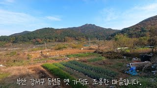 시골같은 도시가 살기 좋은 것 같고 한국은 어디나 고향산천 같습니다.