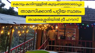 കൊടും കാടിനുള്ളിൽ കുടുംബത്തോടൊപ്പം താമസിക്കാൻ പറ്റിയ സ്ഥലം താമരശ്ശേരിയിൽ ട്രീ ഹൗസ്