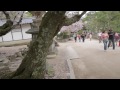 宮島　厳島神社挙式　厳島神社挙式　シネマムービー miyajimawedding 　ラ・マリアージュ　Ｌａｍａｒｉａｇｅ