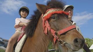 【動物園】乗馬体験/Horseback Riding Area/骑马体验区/乘馬體驗區/승마 체험 코너