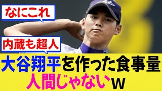 【MLB】大谷翔平を作り上げた食事量、もう人間じゃないｗ【反応集】【ドジャース】【なんJ/なんG/プロ野球反応/2ch/5ch/まとめ/札幌ドーム】