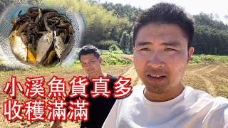 【石頭記事】小溪里面的魚真夠多，4個捕魚陷阱就收穫了大半桶魚貨，啥魚都有