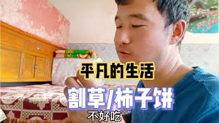 新疆女婿在宁夏山区丈母娘家干完活，做了柿子饼吃的内心五味杂陈