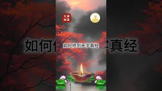 谛深佛陀慈悲开示：如何修到无字真经 #谛深大师#諦深大師 #须弥山佛国网#佛 #佛教 #佛法 #智慧#持戒#开示#净土#放生#高僧 #圣人#戒律 #修行