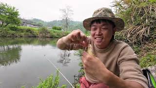 野钓野河出好鱼，这种原生黄金鲫美味绝伦！