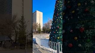 Christmas time in Tashkent #tashkent #tashkentcity #uzbekistan #shorts #youtubeshorts