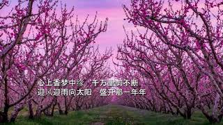 新民歌《桃花谣》(Peach Blossoms) 印青作曲 谭晶原唱 梦萍韵翻唱