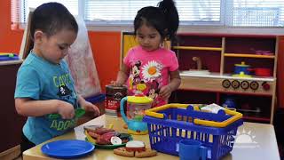 Environment Early Essentials