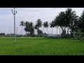 ir 20 farming series day 86 shorts vivasayi vivasayam trendingvideos whatsappstatus ir20