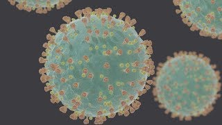 Debunking COVID-19 Conspiracies (Coronavirus Update #2)